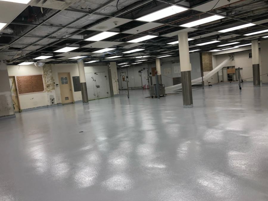 Freshly coated industrial slab with structural columns and exposed services overhead